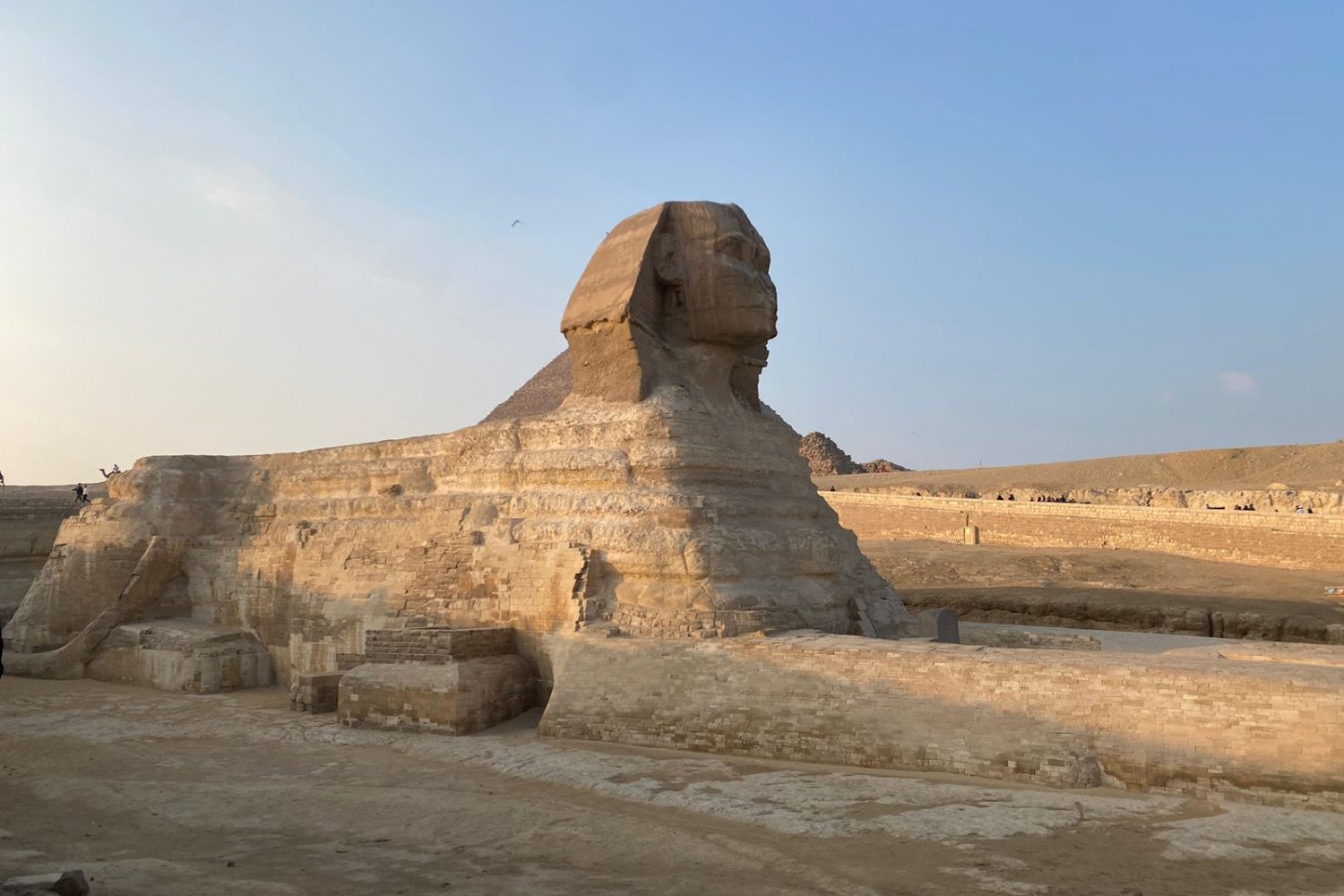 The Great Sphinx at Giza Pyramids at sunset